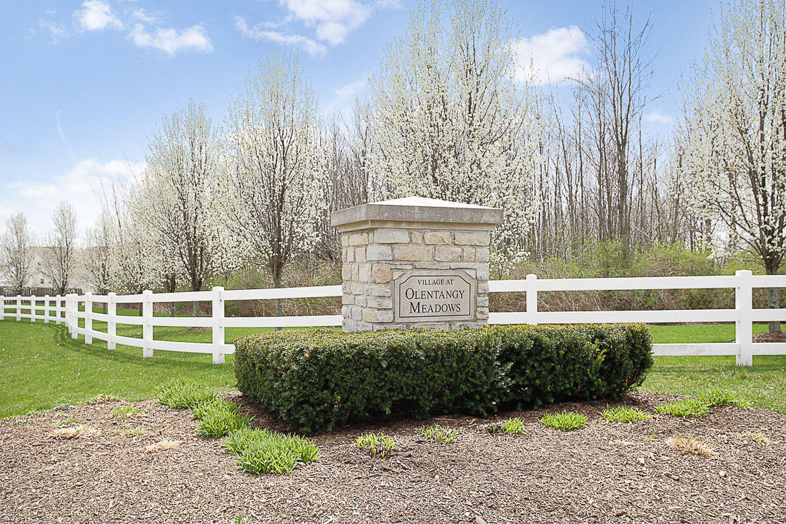 145 Feathertip Lane -4