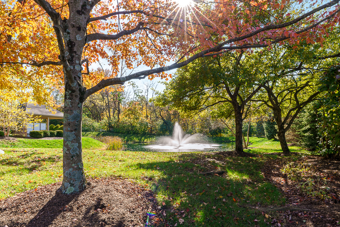 164 Cameron Ridge Dr-44