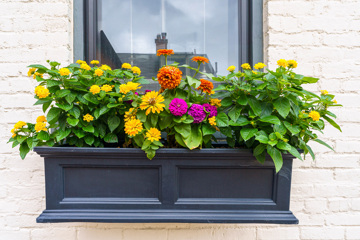 203-205 Berger Alley-10