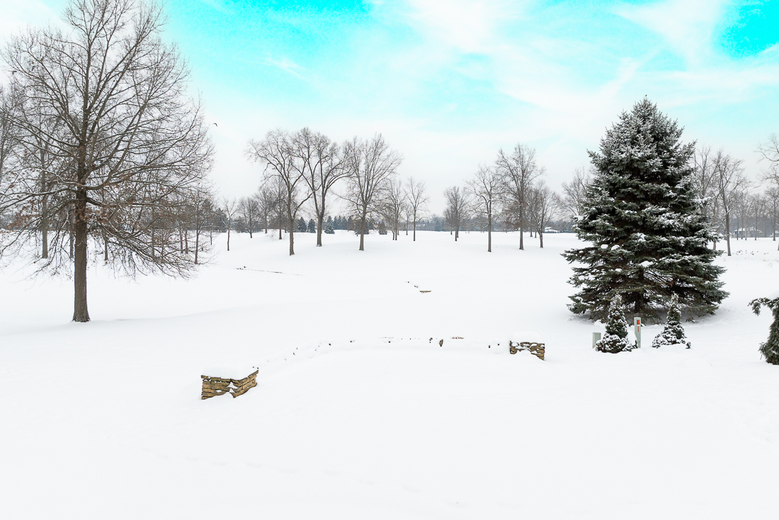 4445 Tavistock Circle-9