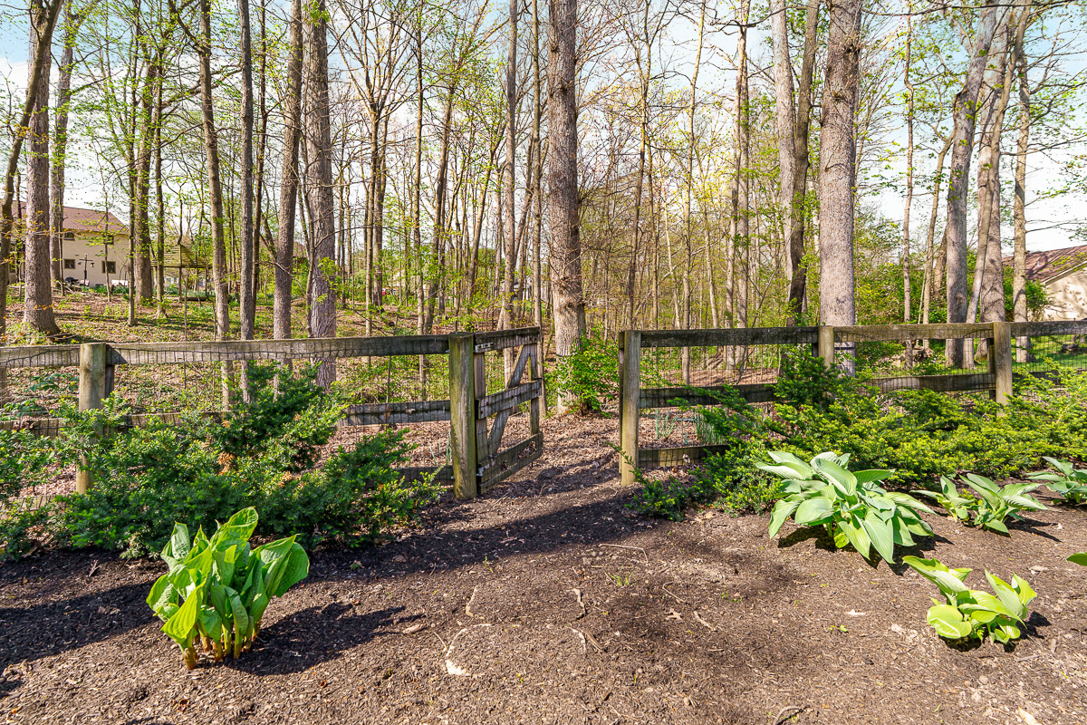 5141 Springfield Ct-16