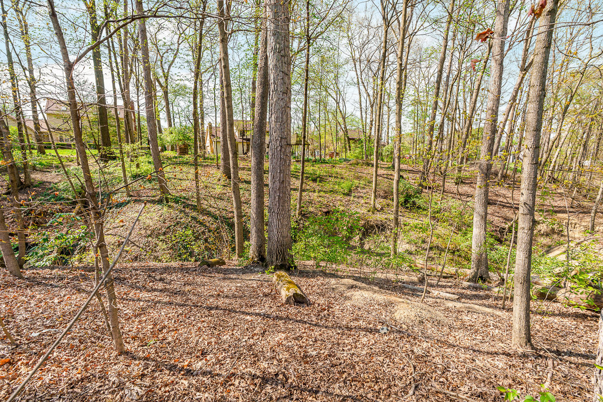 5141 Springfield Ct-17