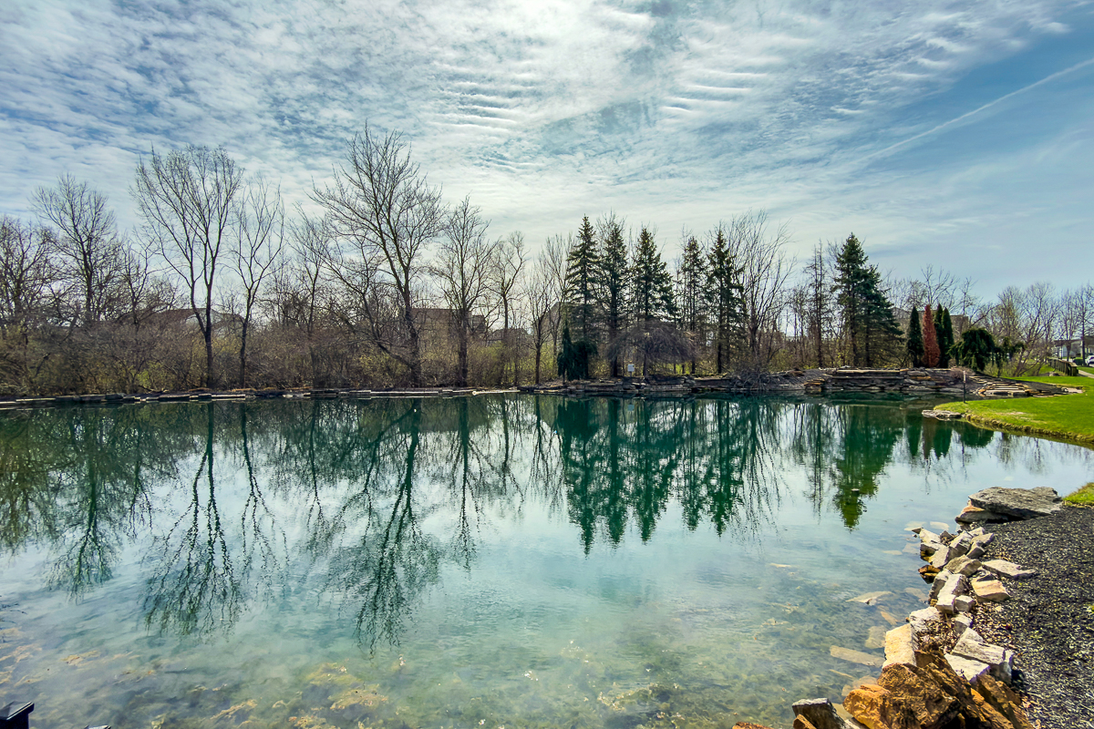 623 Azalea Fields Dr-10