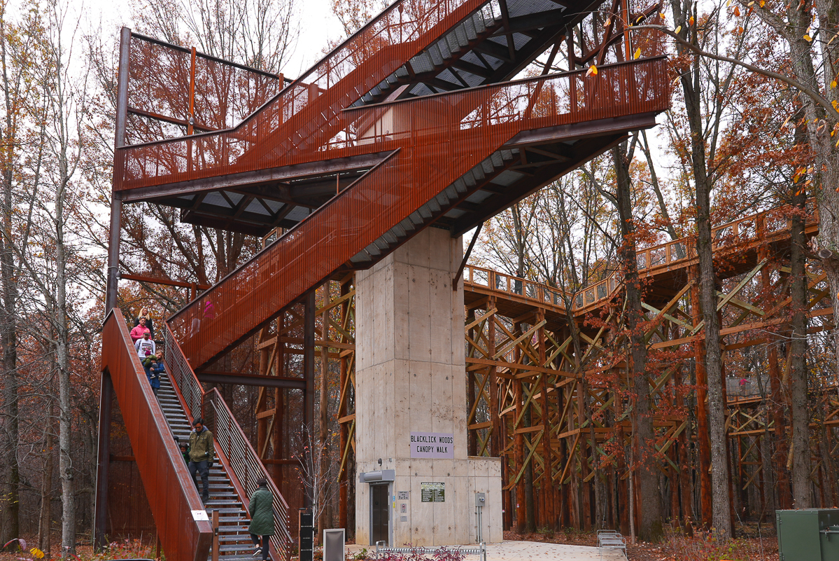 6297 Barberry Hollow-38