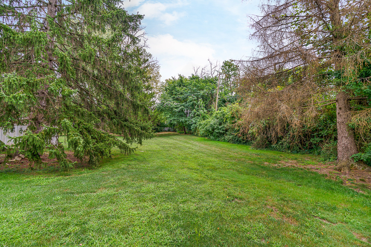 6297 Barberry Hollow-4