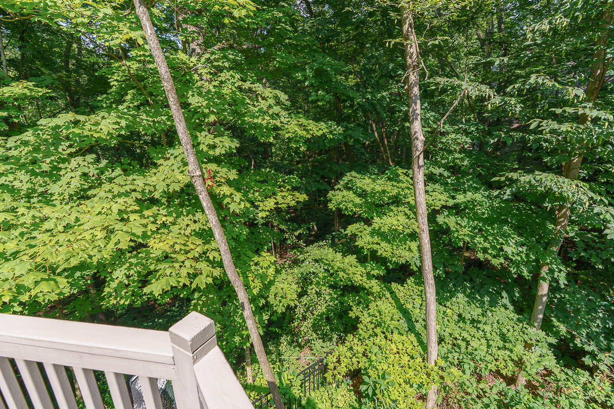 630 Woods Hollow Ln-24