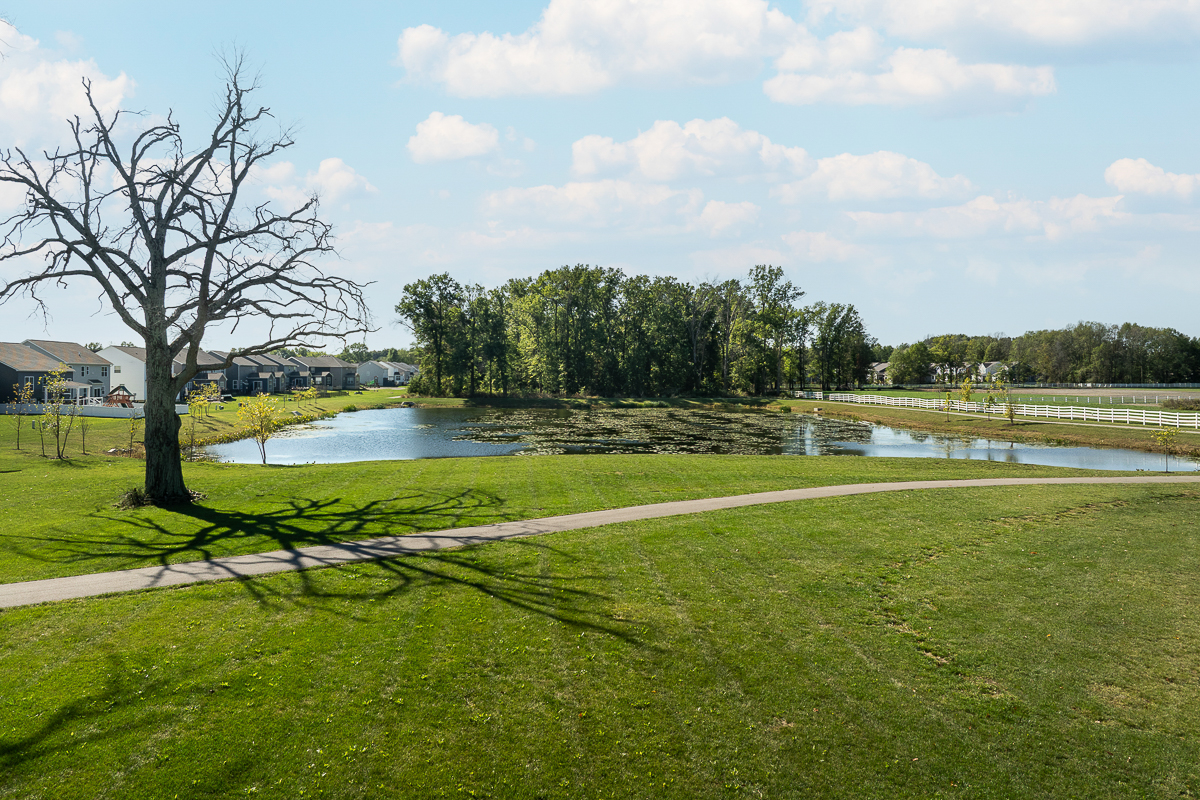 6643 Cold Mountain Dr-48