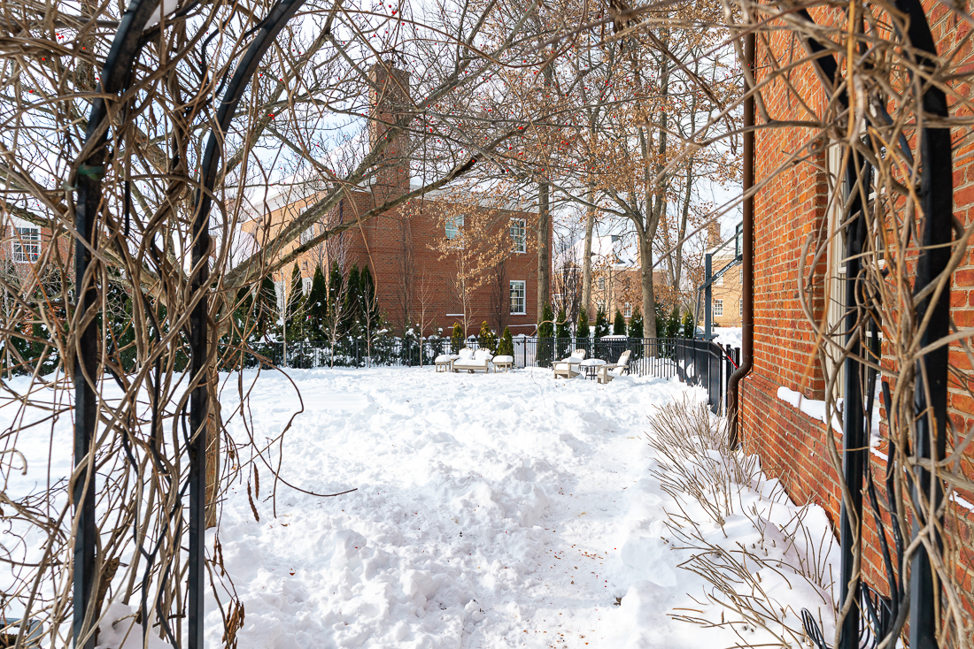 7286 Lambton Green N -21